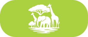 SAFARI