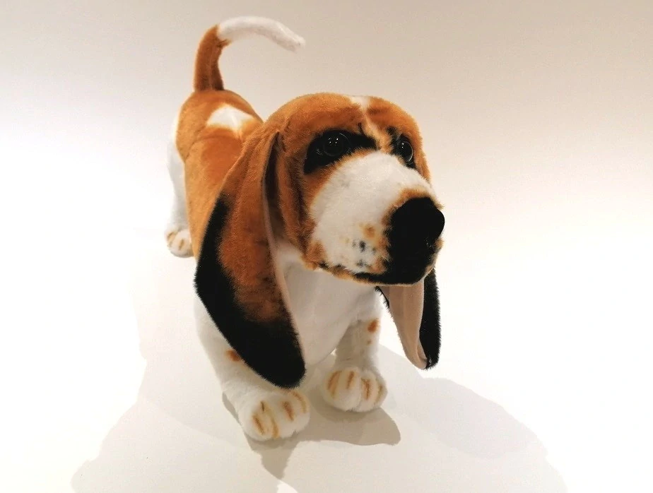 Plyšový pes Basset Hound 64cm