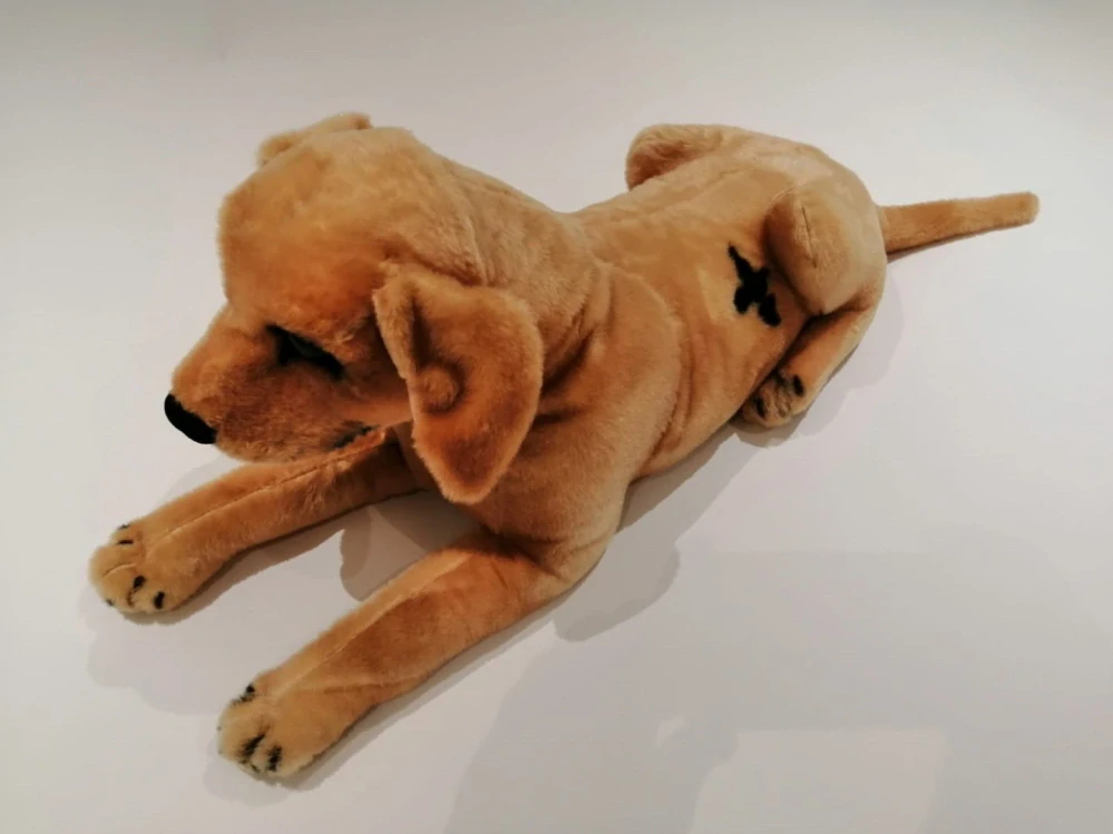 Plyšový pes Labrador zlatý ležící 69cm