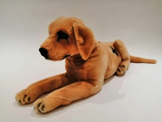 Plyšový pes Labrador zlatý ležící 69cm